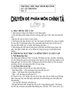 Chuyên đề môn chính tả - Lớp 3