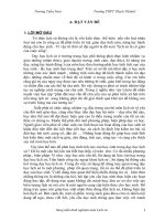 Sử dụng đồ dùng trực quantrong dạy học lịch sử - Bài 31: Cách mạng tư sản Pháp cuối thế kỉ XVIII(tiết 1) SGK 10 -CB