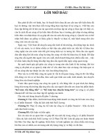 Báo cáo thực tập kế toán vốn bằng tiền và kế toán lưu chuyển hàng hóa tại công ty cổ phần danatol