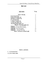 SKKN Bồi dưỡng khả năng tự quản cho đội Sao đỏ