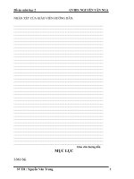 Đồ án môn học giao tiếp máy tính với vi điều khiển bằng công nghệ USB điều khiển led ma trận