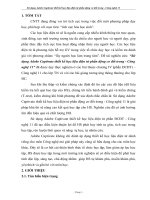 Sử dụng Adobe Captivate thiết kế học liệu điện tử phần động cơ đốt trong - Công nghệ 11