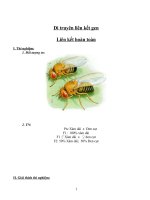 Di truyên liên kết genLiên kết hoàn toàn