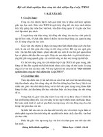 skkn một vài kinh nghiệm làm công tác chủ nhiệm lớp ở cấp thcs