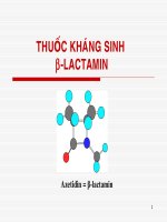 Thuốc kháng sinh B-lactamin,  ĐẠI HỌC Y TP HCM, 2006