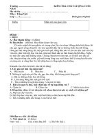 3 đề thi tiếng việt lớp 3 cực chuẩn có đáp án