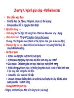 Bài giảng động vật học - chương 4 - Ngành giun dẹp - Plathelminthes