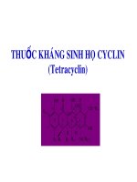 Thuốc kháng sinh họ CYCLIN- ĐẠI HỌC Y TP HCM, 2006