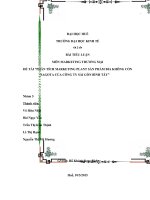 phân tích marketing plant sản phẩm bia không cồn sagota của công ty sài gòn bình tây