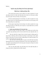 Nguồn cung cấp thông tin kế toán ngân hàng Minh họa và đánh giá thực tiễn