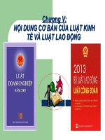 Bài giảng nội dung cơ bản của luật kinh tế và luật lao động