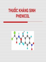 THUỐC KHÁNG SINH PHENICOL- ĐẠI HỌC Y TP HCM, 2006
