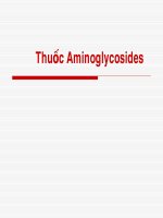 Thuốc Aminoglycosides,  ĐẠI HỌC Y TP HCM