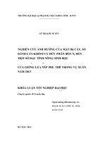 Nghiên cứu ảnh hưởng của mật độ cấy, số dảnh cấy ,khóm và mức phân bón N2 đến một số đặc tính nông sinh học của giống lúa nếp phu thê trong vụ Xuân năm 2013