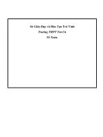 SKKN phương trình và bất phương trình có chứa dấu giá trị tuyệt đối thpt TRÀ CÚ