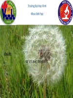 đề tài xử lý rác thải ý tế