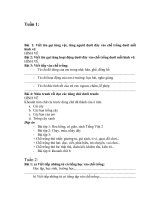 GA L2 tuần 19-35luyện từ và câu