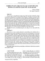 Nghiên cứu sức chịu tải của cọc có xét đến ảnh hưởng của chuyển vị đất nền xung quanh  võ phán