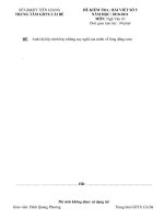 ĐỀ KIỂM TRA 1 TIẾT LẦN 2 KHỐI 10 HỌC KÌ II VÀ ĐÁP AN