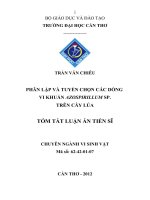 phân lập và tuyển chọn một số dòng vi khuẩn azospirillum trên cây lúa
