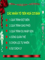 CÁC NHÂN TỐ TIẾN HÓA