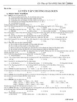 BÀI TẬP LUYỆN TẬP CHƯƠNG HALOGEN