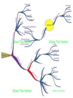 Bản đồ tư duy NV7-ôn tập