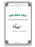 Ứng dụng của các nguyên lí cơ bản trong giải toán hình học tổ hợp