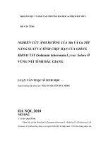 Nghiên cứu ảnh hưởng của Mn và Cu tới năng suất và tính chịu hạn của giống khoai tây(Solanum tuberosum L.) var. Solara ở vùng núi tỉnh Bắc Giang