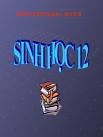 chu trinh sinh dia hoa sinh quyen (hot)