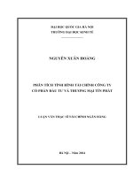 Phân tích tình hình tài chính công ty Cổ phần Đầu tư và Thương mại Tín Phát