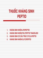 THUỐC KHÁNG SINH PEPTID- ĐẠI HỌC Y TP HCM, 2006