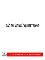 Một số thuật ngữ quan trọng trong SEO