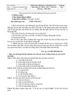 kiem tra cuoi ky 2 khoi lop 2