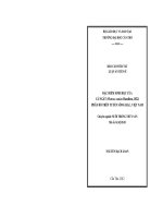 tóm tắt luận án đặc điểm sinh học của cá ngát phân bố trên tuyến sông hậu, việt nam