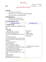 giáo án THỦ CÔNG lớp 2