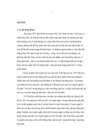 Nghệ thuật trần thuật trong truyện ngắn Võ Thị Hảo