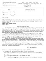 ĐỀ KIỂM TRA CHK II TIẾNG VIỆT