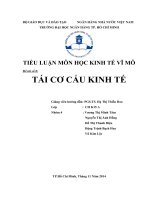 Tiểu luận môn kinh tế vĩ mô TÁI CƠ CẤU KINH TẾ