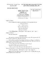 Đề thi hsg tỉnh môn Văn năm học 2010 - 2011(bảng A)