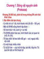 Bài giảng động vật học - chương 1 - Động vật nguyên sinh (Protozoa)