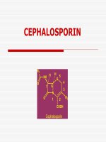 Thuốc cephalosporin, ĐẠI HỌC Y TP HCM, 2006