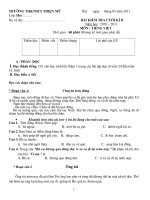 ĐỀ KT CKII TV 2 NH 2010-2011 (CHUẨN)