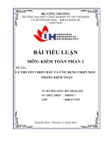 LÝ THUYẾT CHỌN mẫu và ỨNG DỤNG CHỌN mẫu TRONG KIỂM TOÁN