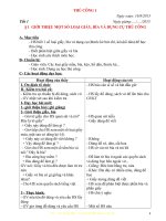 giáo án THỦ CÔNG lớp 1