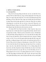 Một số biện pháp rèn luyện kỹ năng viết ở bộ môn Tiếng Anh THCS