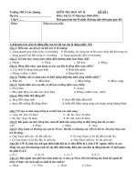 DE THI HKII LY 9 (TL+TN)