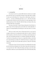 Nghiên cứu khả năng chịu thiếu nước của cà chua (Lycopersicon esculentum