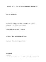 Nghiên cứu chế tạo cảm biến khí trên cơ sở vật liệu composite WO3 và ống nano carbon