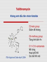 Telithromycin-Kháng sinh đầu tiên nhóm ketolide- ĐẠI HỌC Y TP HCM, 2006